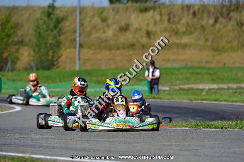 DSC_ (1720).jpg